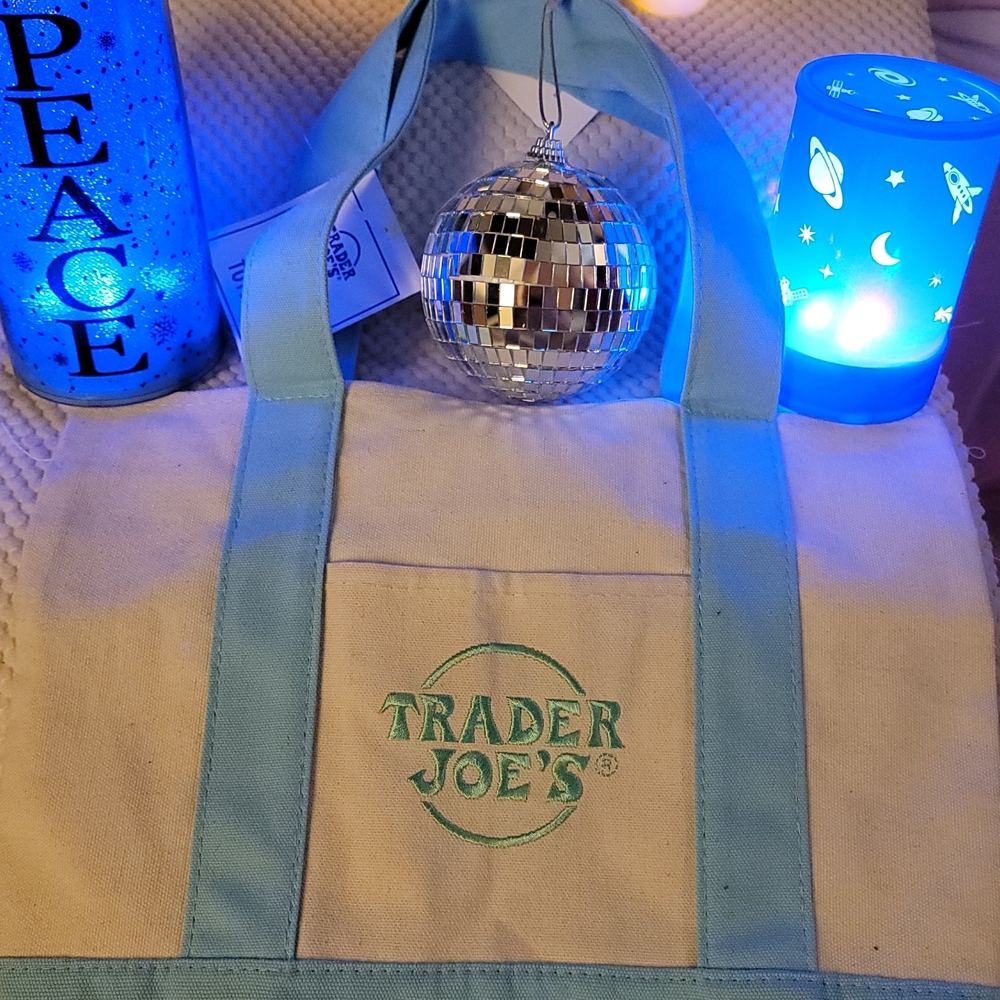 NWT Trader Joe's Micro Canvas Tote Bag with Light Blue Accents
